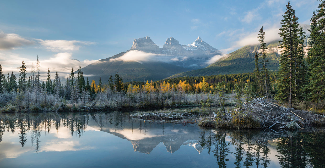 Alberta Lake Reflections