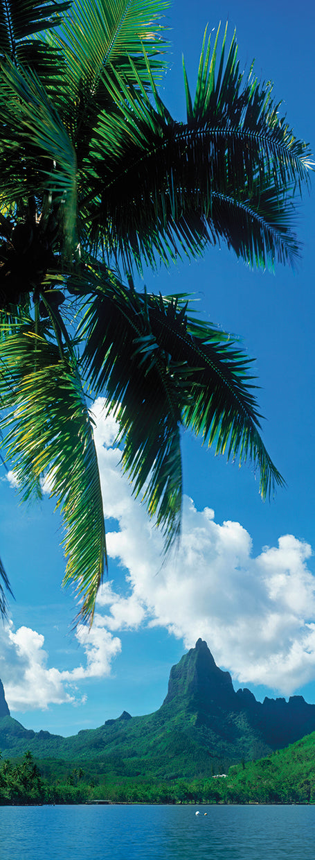 Palmas de la brisa de Tahití Lienzo