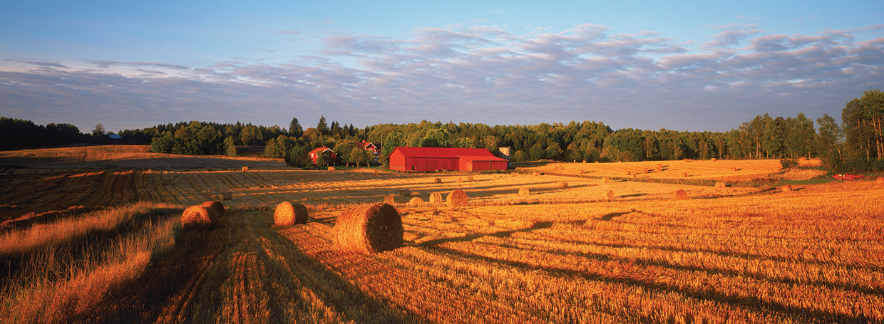 Swedish Country Farm