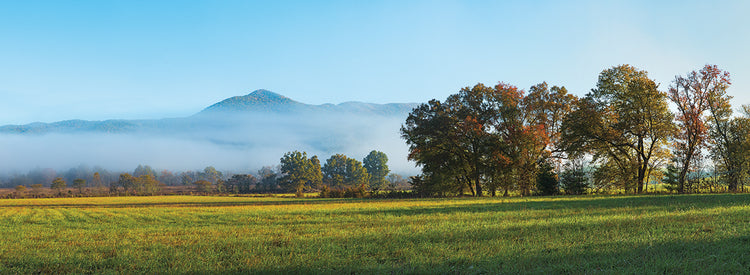 Campo de niebla Tennessee Lienzo