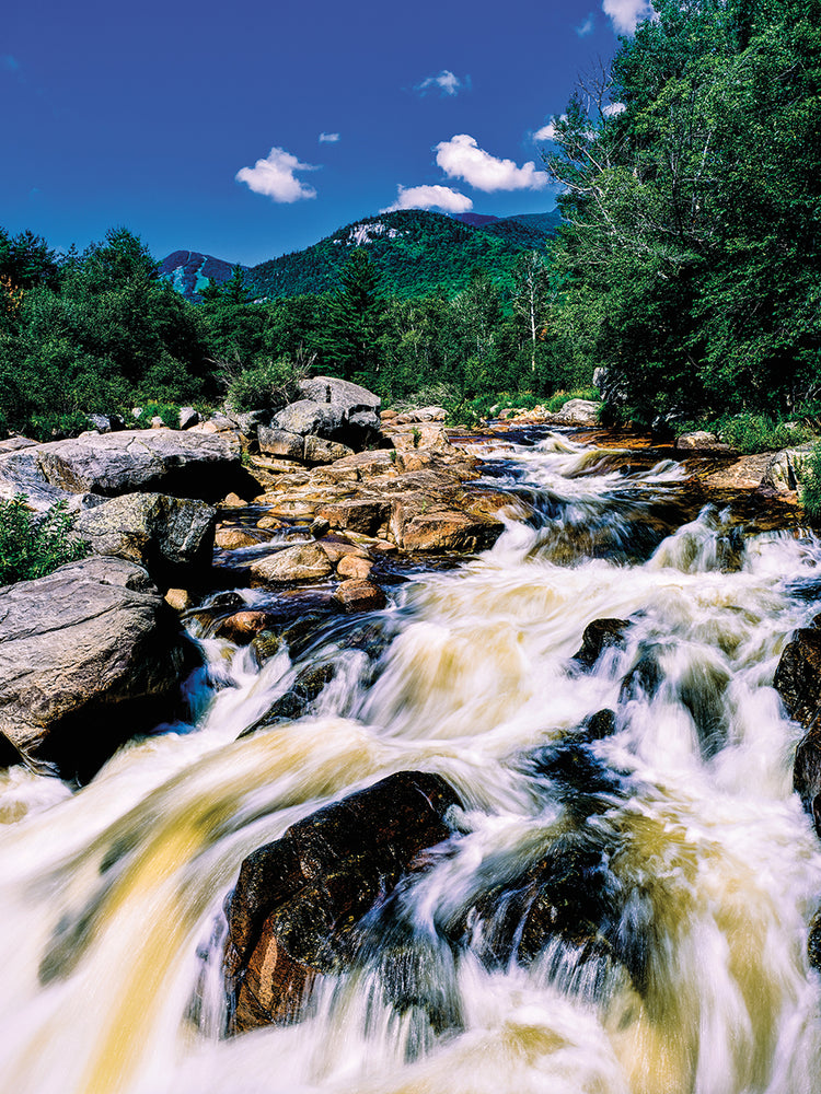 Río del bosque de Adirondack Lienzo