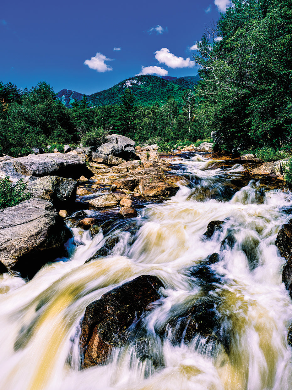 Río del bosque de Adirondack Lienzo
