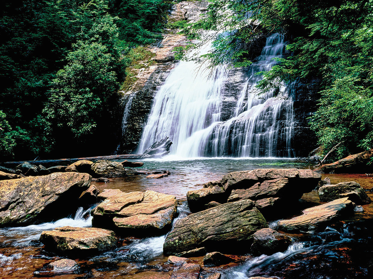 Caídas de Georgia Park Creek Lienzo