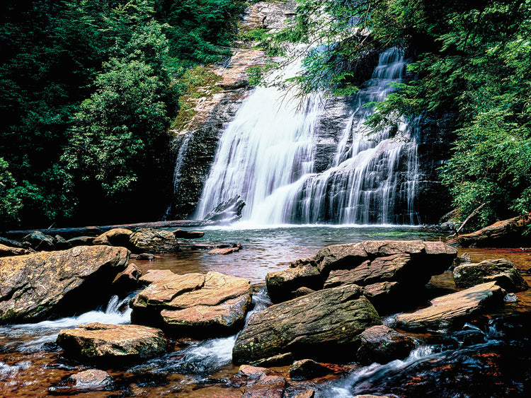 Caídas de Georgia Park Creek Lienzo