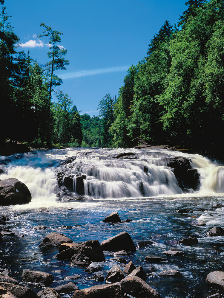 Bosque de Buttermilk Falls Lienzo
