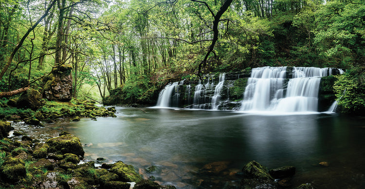 Cascada del bosque galés Lienzo