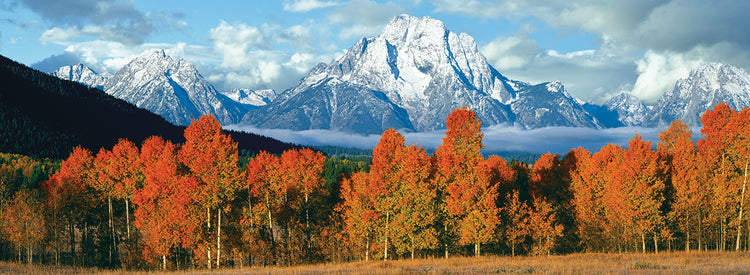 Oxbow Bend Teton Mountains