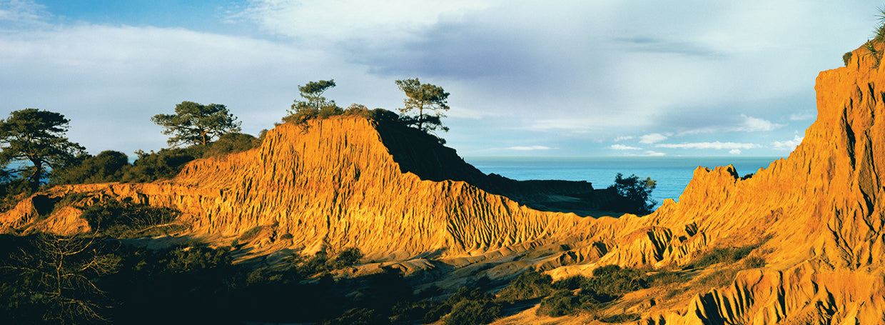 Paisaje costero La Jolla Lienzo