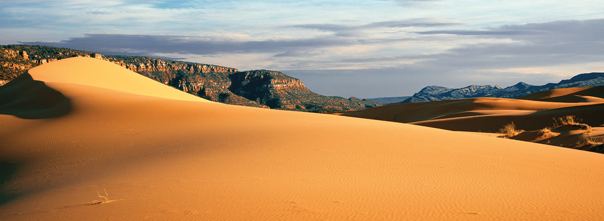 Coral Pink Sand Dunes Utah