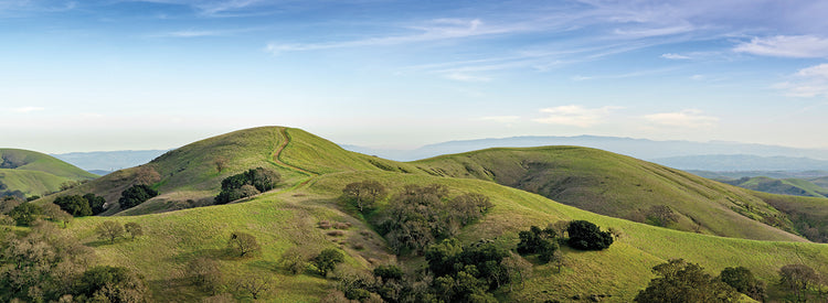 Colinas onduladas de California Lienzo