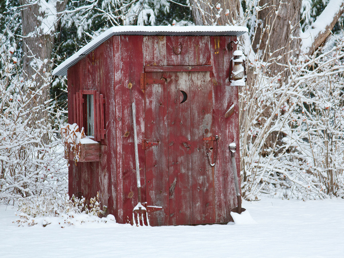 Rustic Winter Shed