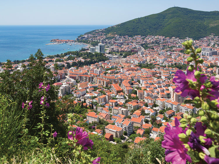 Vistas de Montenegro Lienzo