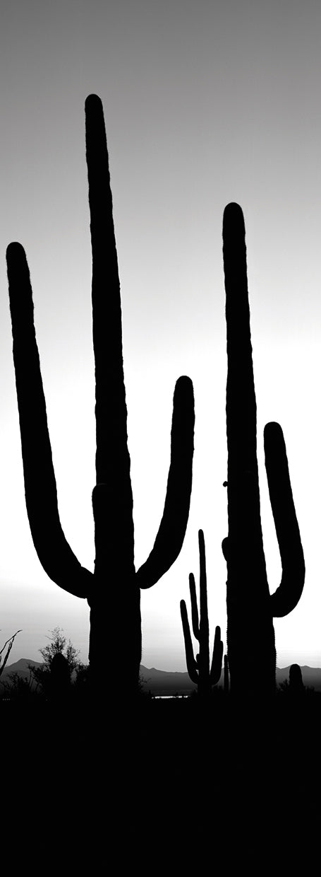 Desert Cactus Arms