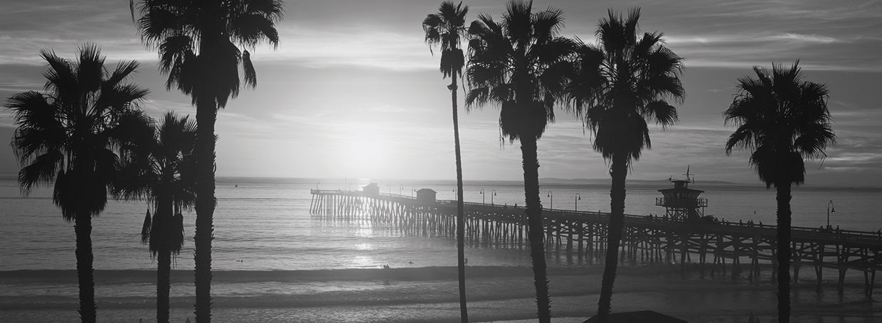 San Clemente Palm Trees