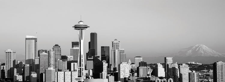 Horizonte de Seattle Silvers Lienzo