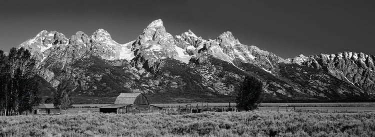 Meadow Barn Tetons