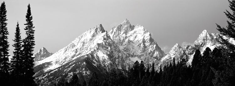 Tetones de invierno de Wyoming Lienzo