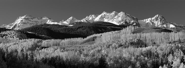 Autumn Peaks Aspens