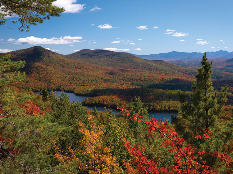 McKenzie Pond Colors