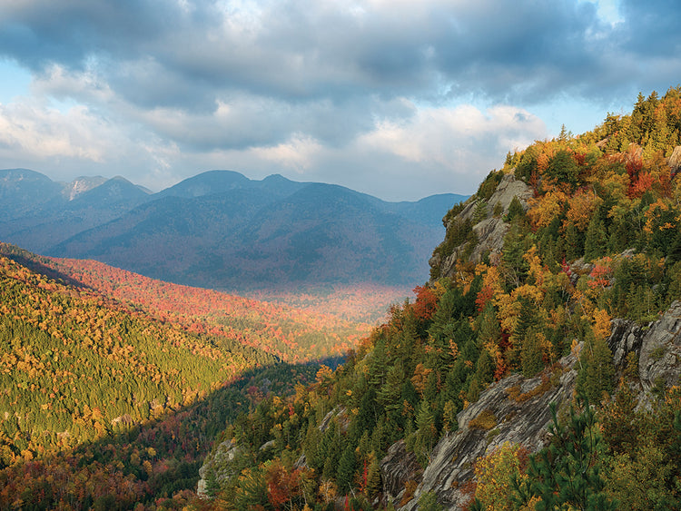 Sloping Forest Mountains
