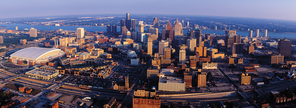 Hecho en Detroit Lienzo