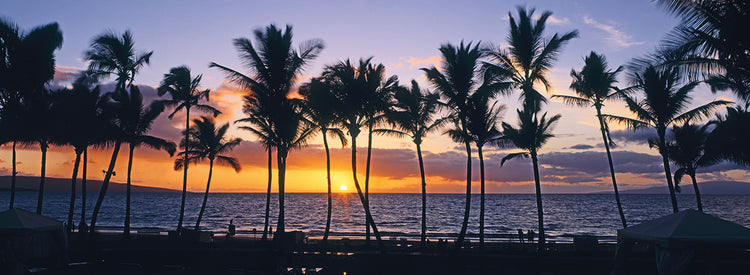 Maui Glow Sunset