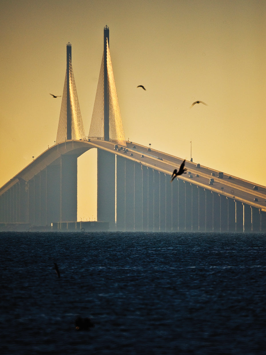 Spanning Tampa Bay