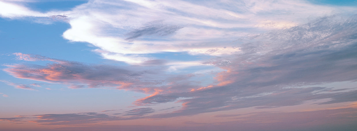 Pink Chamgpagne Sunset