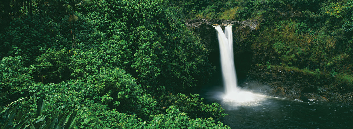 Hilo Rainbow Falls Lienzo