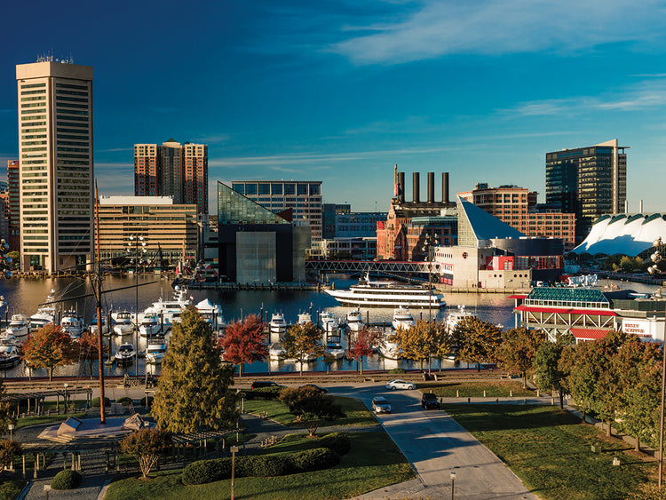 Puerto de Baltimore Pano Lienzo