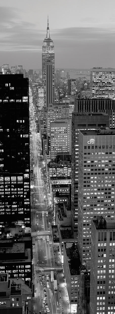 Fifth Avenue NYC Buildings