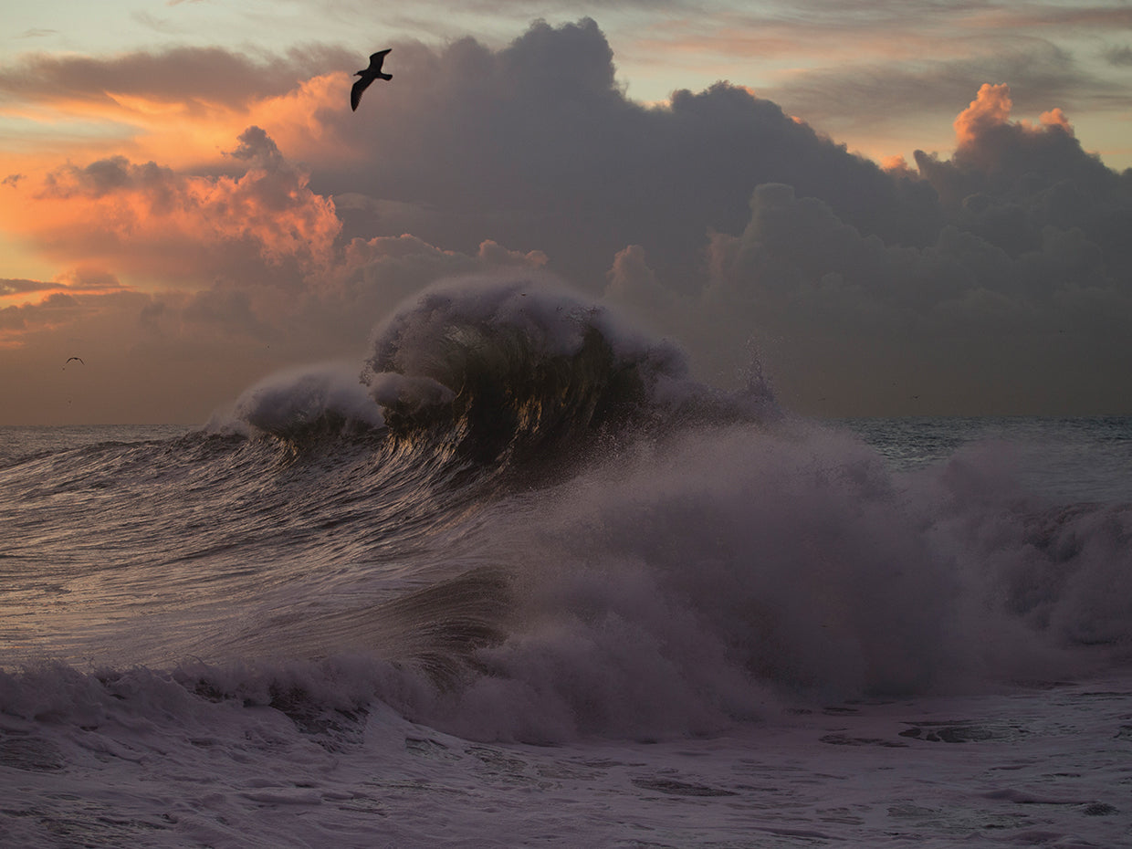 San Pedro Pacific Waves