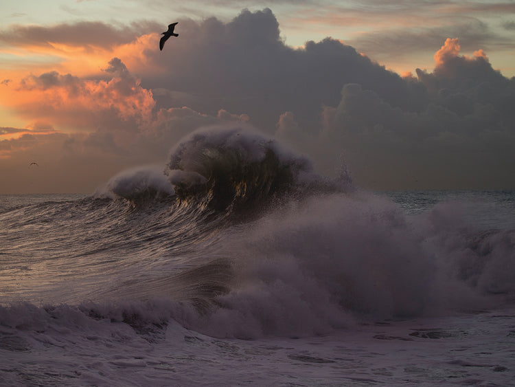 San Pedro Pacific Waves