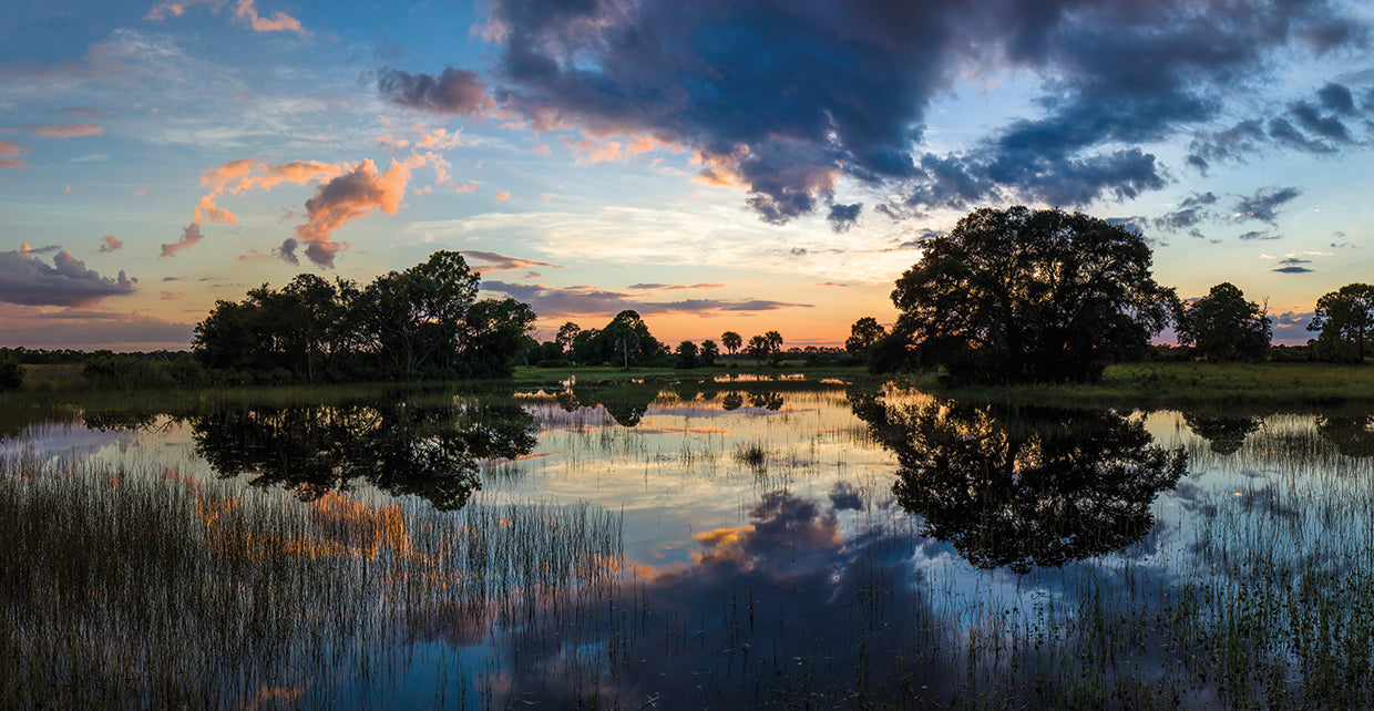 Venice Florida Sunset