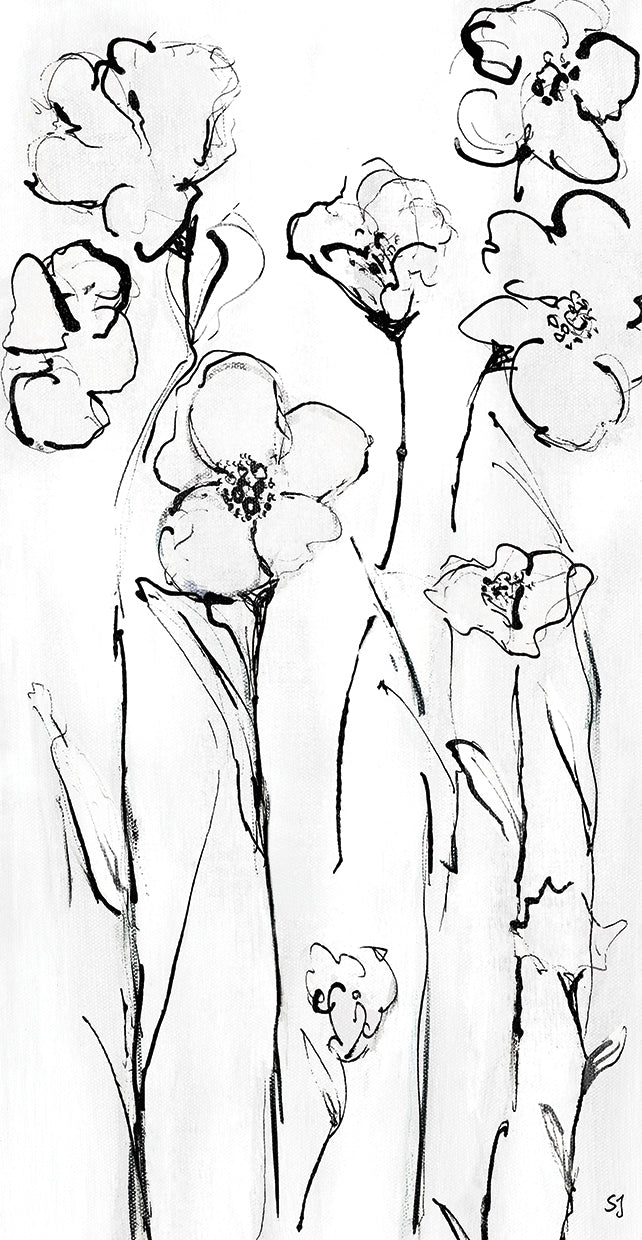 sketchy-wildflowers-i-susan-jill
