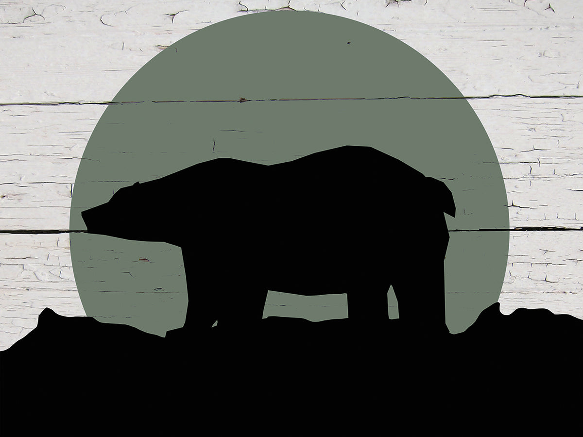 Mountain Bear