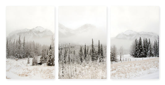 Snowbound Canvas Print