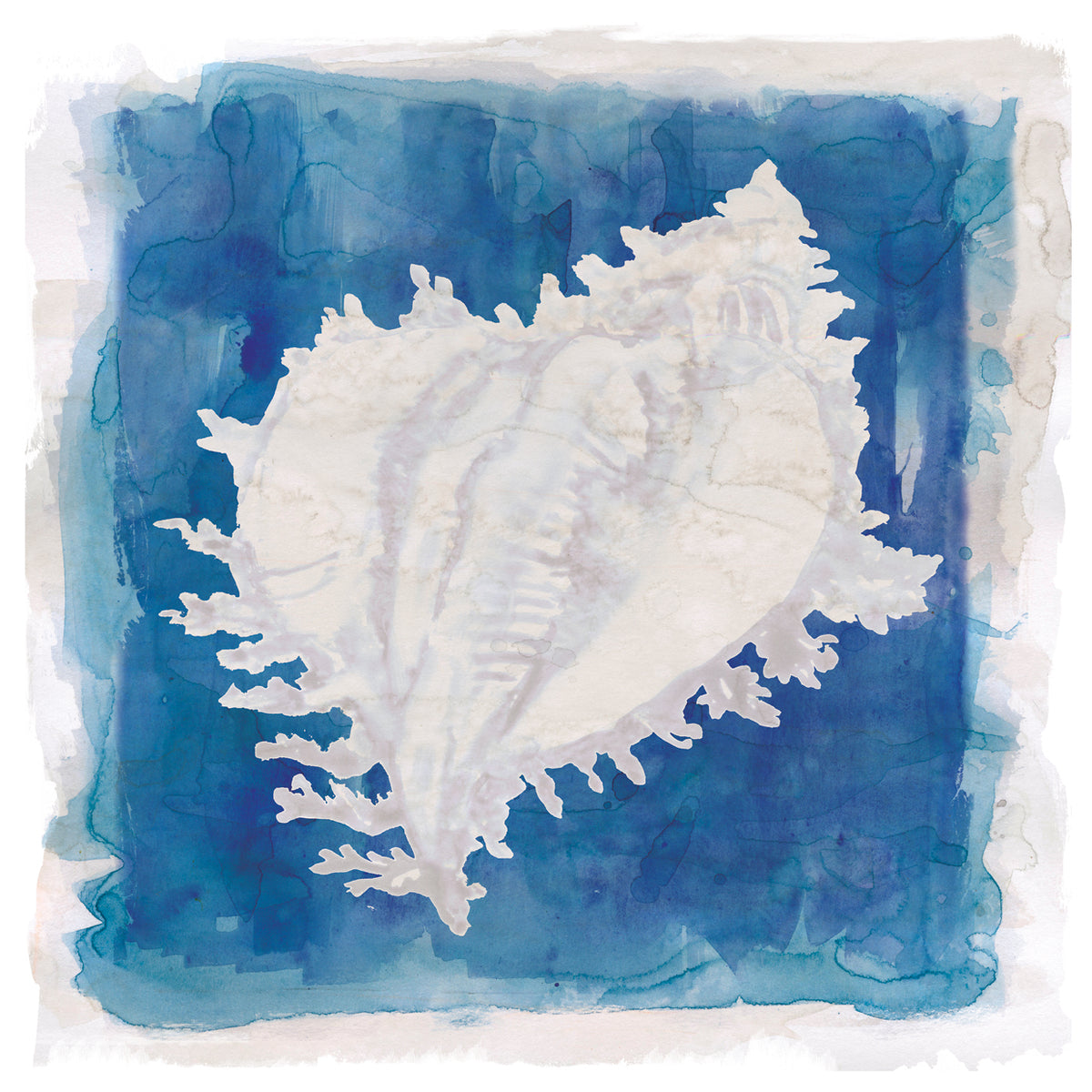 Coastal Washes Shell I