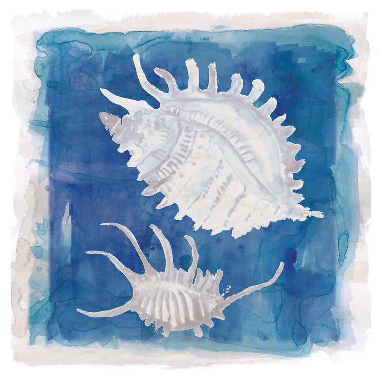 Lavados costeros Shell II Lienzo