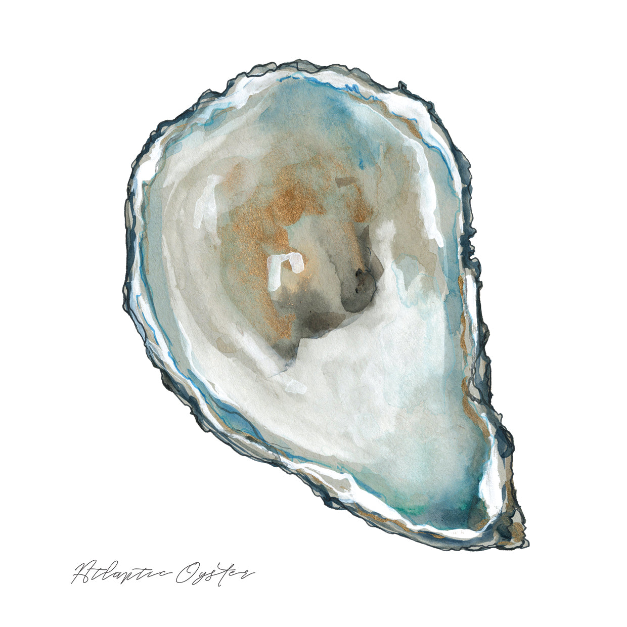 Ostra atlántica Lienzo