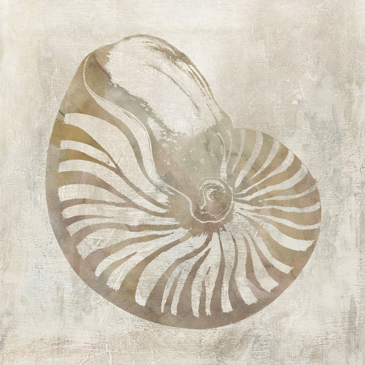 Seashell Illusion I