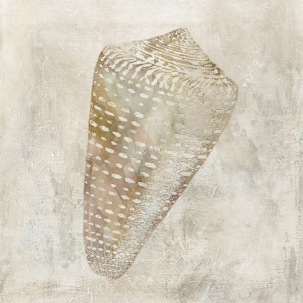 Ilusión de concha marina II Lienzo