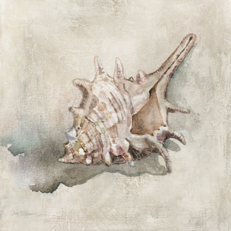Texturas de conchas marinas I Lienzo