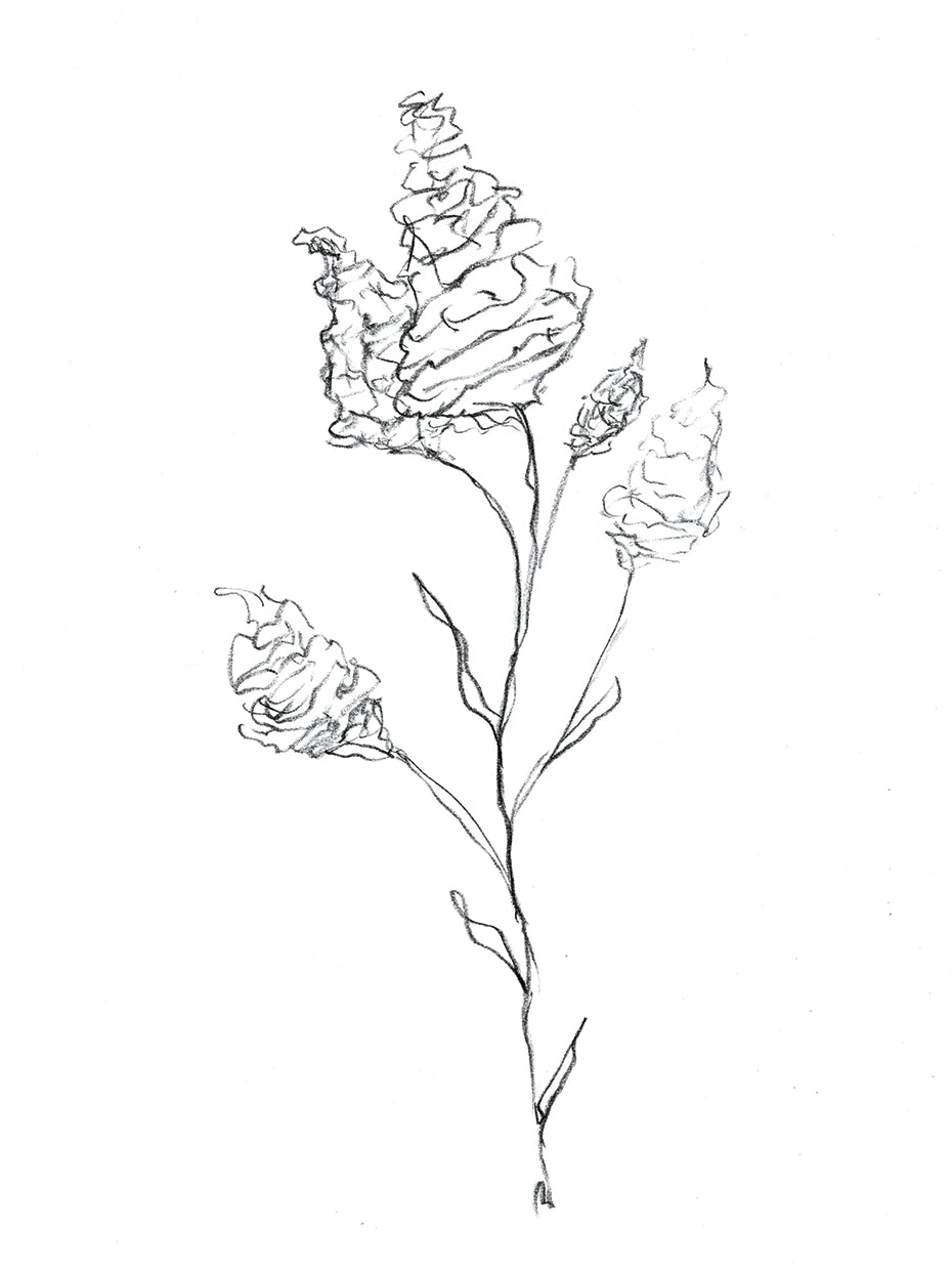 FLORAL SKETCH I