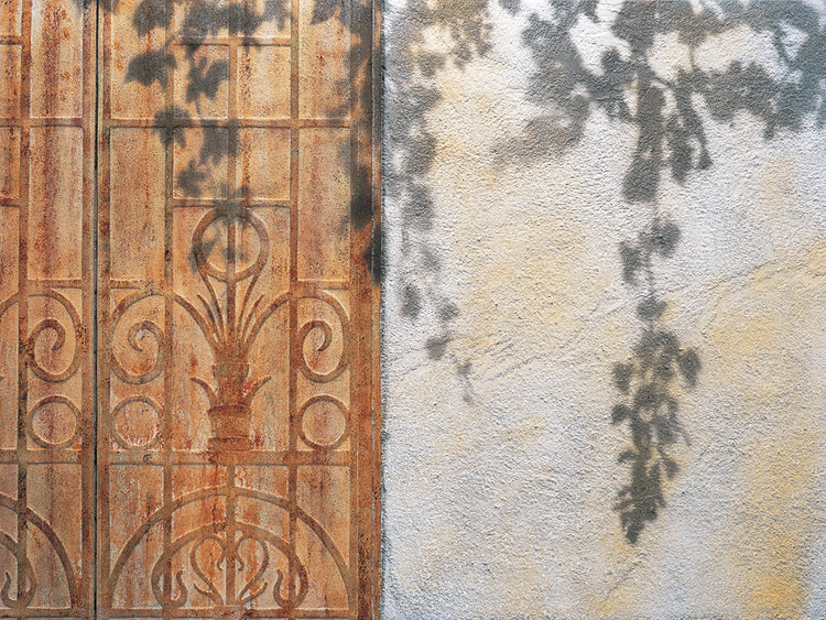 PUERTA OXIDADA Y VID Lienzo