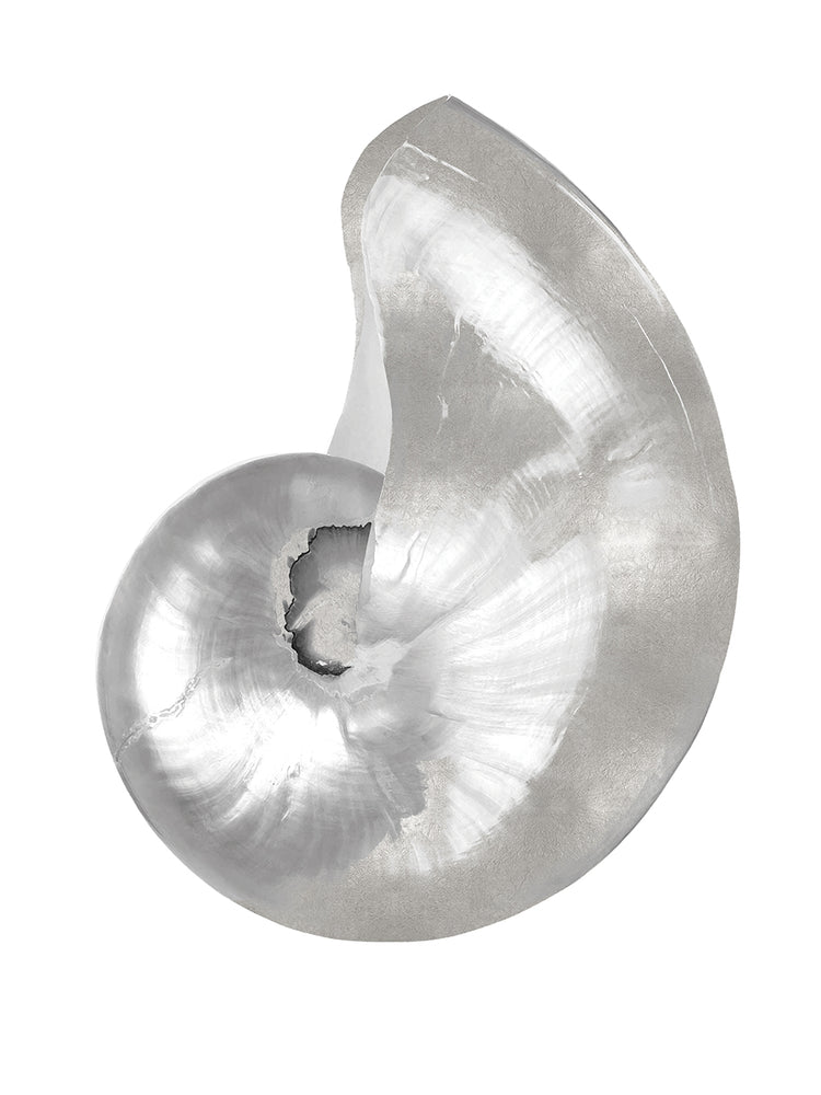 Silver Pearl Shell I