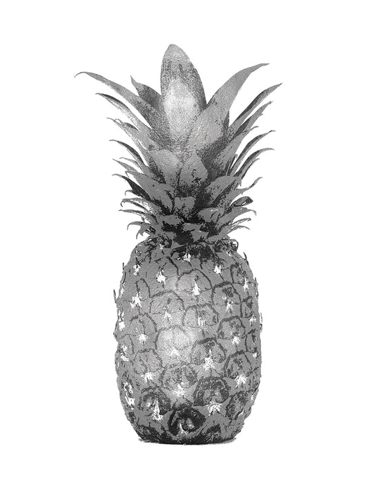 Pineapple Gray I
