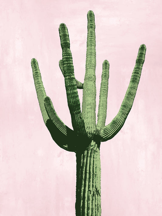 Cactus on Pink III Canvas Print