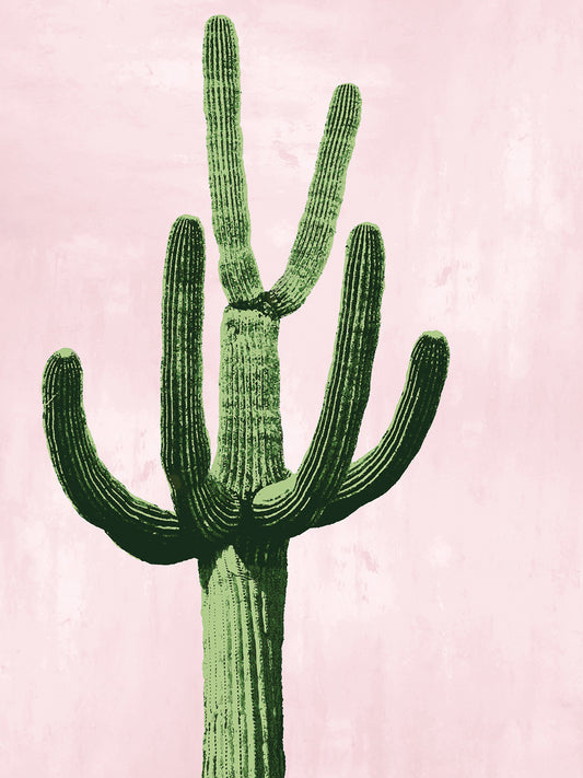Cactus on Pink IV Canvas Print