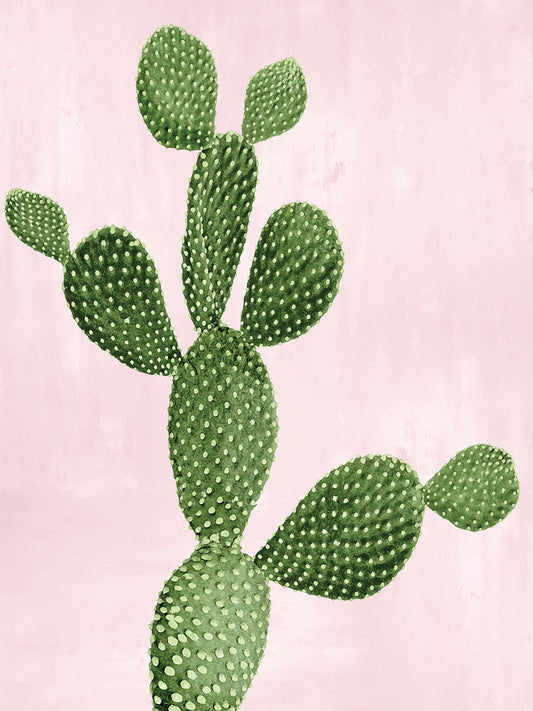 Cactus on Pink VII